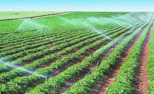 骚美女艹逼免费看农田高 效节水灌溉
